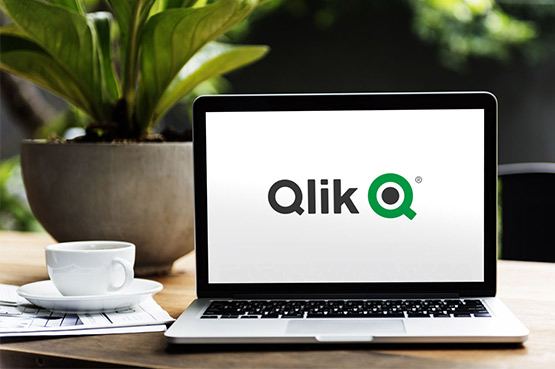 Customizing the Qlik Sense Hub